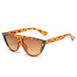 (6 PACK) Vente en gros de lunettes de soleil 87037