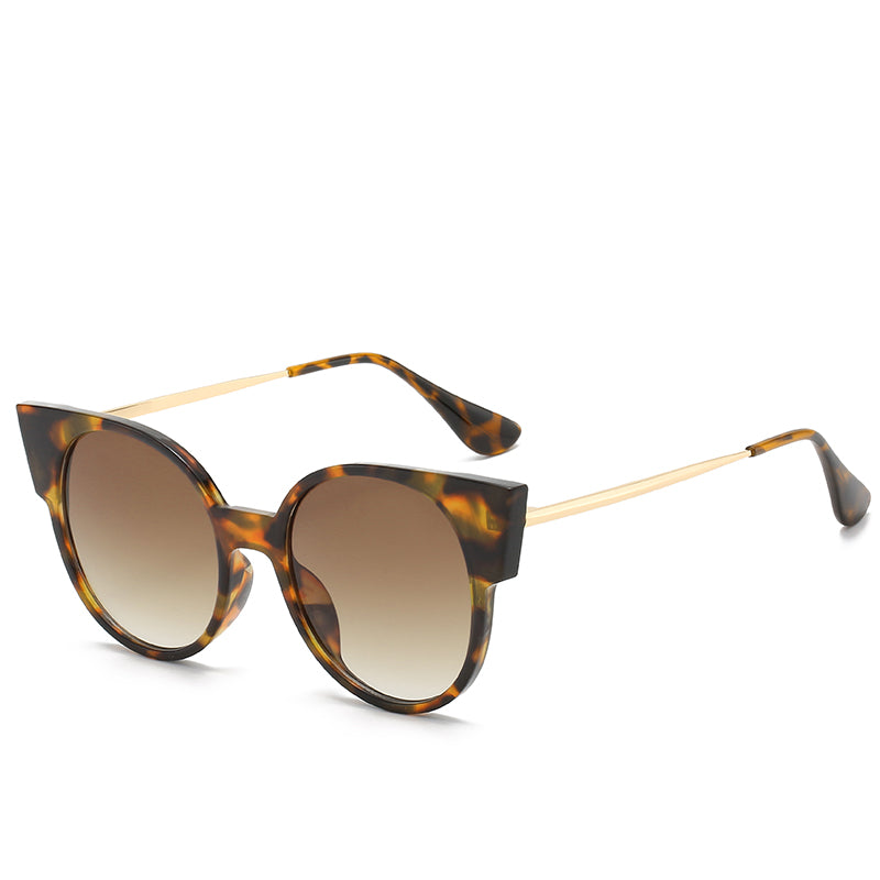 (6 PACK) Wholesale Sunglasses 89004