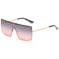 (6 PACK) Vente en gros de lunettes de soleil 88046
