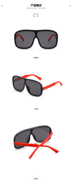 Sunglasses 79001