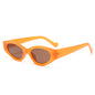 (6 PACK) Wholesale Sunglasses 11301
