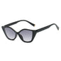 (6 PACK) Wholesale Sunglasses 73021