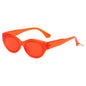 (6 PACK) Wholesale Sunglasses 81011