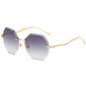 Sunglasses 88019