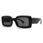 Sunglasses Z1504