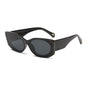 Sunglasses 93027