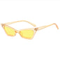 (6 PACK) lunettes de soleil en gros K71808