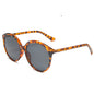 (6 PACK) Wholesale Sunglasses 87017