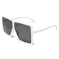 (6 PACK) Square Wholesale Sunglasses 2021