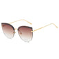 (6 PACK) Vente en gros de lunettes de soleil 88049
