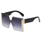 Sunglasses 87068