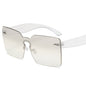 (6 PACK) Wholesale Sunglasses 89080