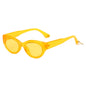 (6 PACK) Wholesale Sunglasses 81011