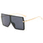 Sunglasses U1501
