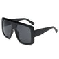 Sunglasses 86008