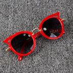 Sunglasses 79009