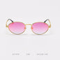 Sunglasses Z1510
