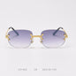 Sunglasses Z1509