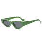 (6 PACK) Wholesale Sunglasses 11301