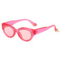 (6 PACK) Wholesale Sunglasses 81011