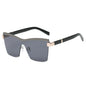 Sunglasses 82023