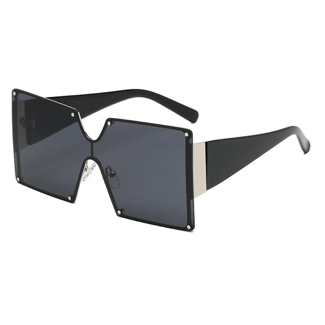 Sunglasses 86001 Hover Image