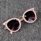 (6 PACK) Wholesale Sunglasses 79009