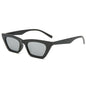 (6 PACK) Vente en gros de lunettes de soleil 87053