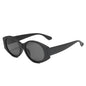(6 PACK) Vente en gros de lunettes de soleil 87041