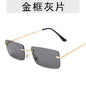 Sunglasses C1301