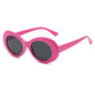 (6 PACK) Wholesale Sunglasses 81006