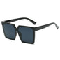 Sunglasses 73007