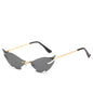 Sunglasses AJ013