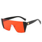 (6 PACK) Vente en gros de lunettes de soleil 89010