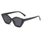 (6 PACK) Vente en gros de lunettes de soleil 87042