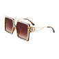 (6 PACK) Vente en gros de lunettes de soleil 76012