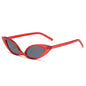(6 PACK) Vente en gros de lunettes de soleil 87036