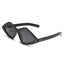 Sunglasses 87020