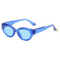 (6 PACK) Wholesale Sunglasses 81011