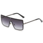 Sunglasses 88046