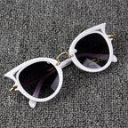 (6 PACK) Wholesale Sunglasses 79009