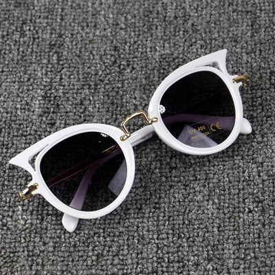 (6 PACK) Wholesale Sunglasses 79009