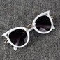 (6 PACK) Wholesale Sunglasses 79009