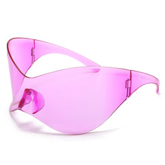 (6) PACK Wholesale Sunglasses 2023 M131607