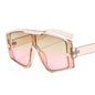(6) PACK Wholesale Sunglasses 2023 - BulkSunglassesWholesale.com - Champagne Frame Tea Pink Lens
