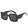Sunglasses 2022 M114804