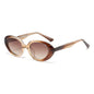 (6 PACK) Wholesale Sunglasses Oval Wire Core TR Unique New Arrival Hip Hop Street Trendy 2023 - BulkSunglassesWholesale.com - Clear Tea Frame Gradient Tea