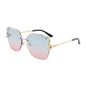 (6 PACK) Wholesale Sunglasses B1203
