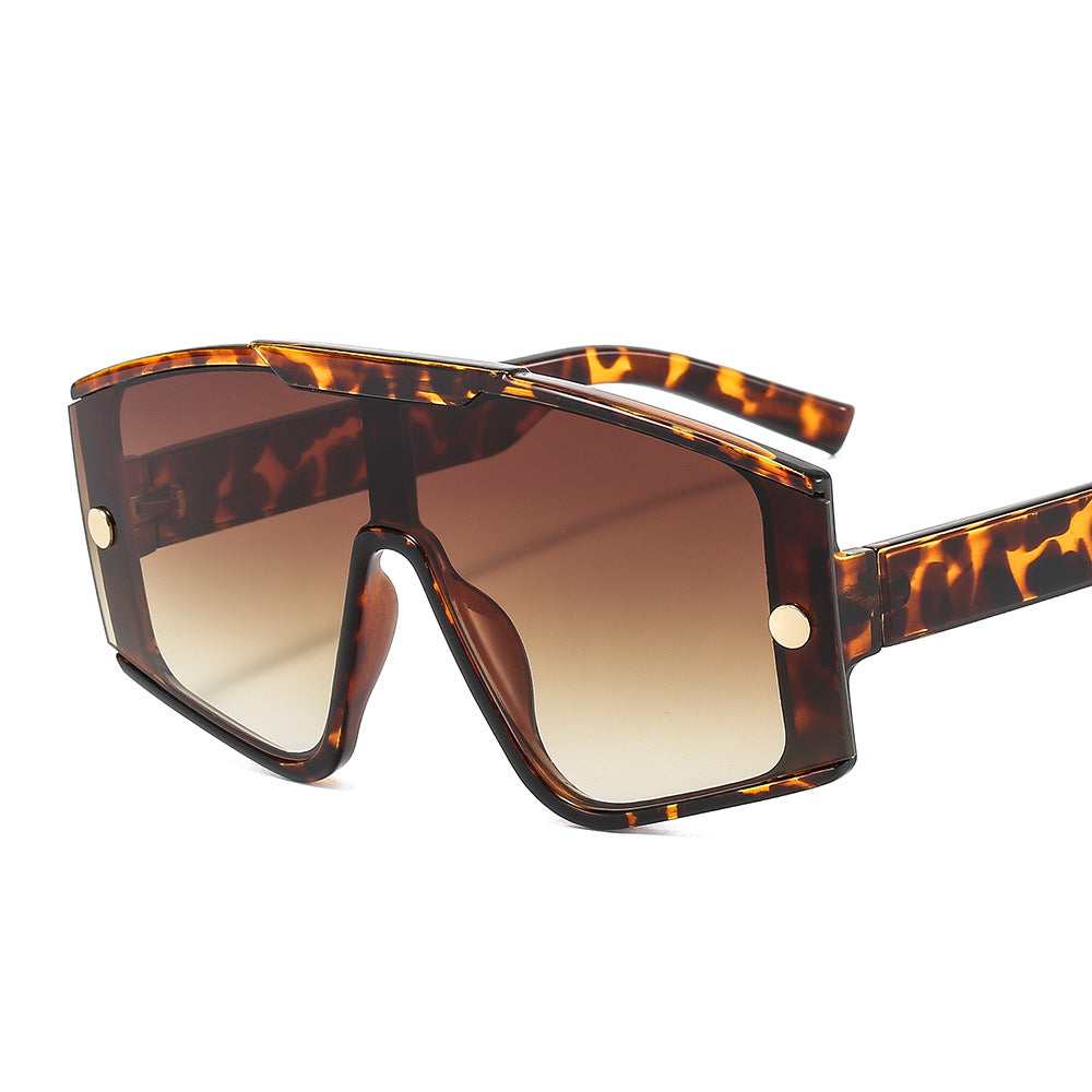 (6) PACK Wholesale Sunglasses 2023 - BulkSunglassesWholesale.com - Leopard Print Frame Gradient Tea Lens