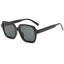 Sunglasses B31602